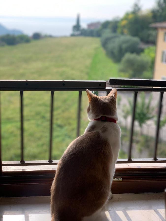 Appartamento Cielo Costermano sul Garda Exterior foto